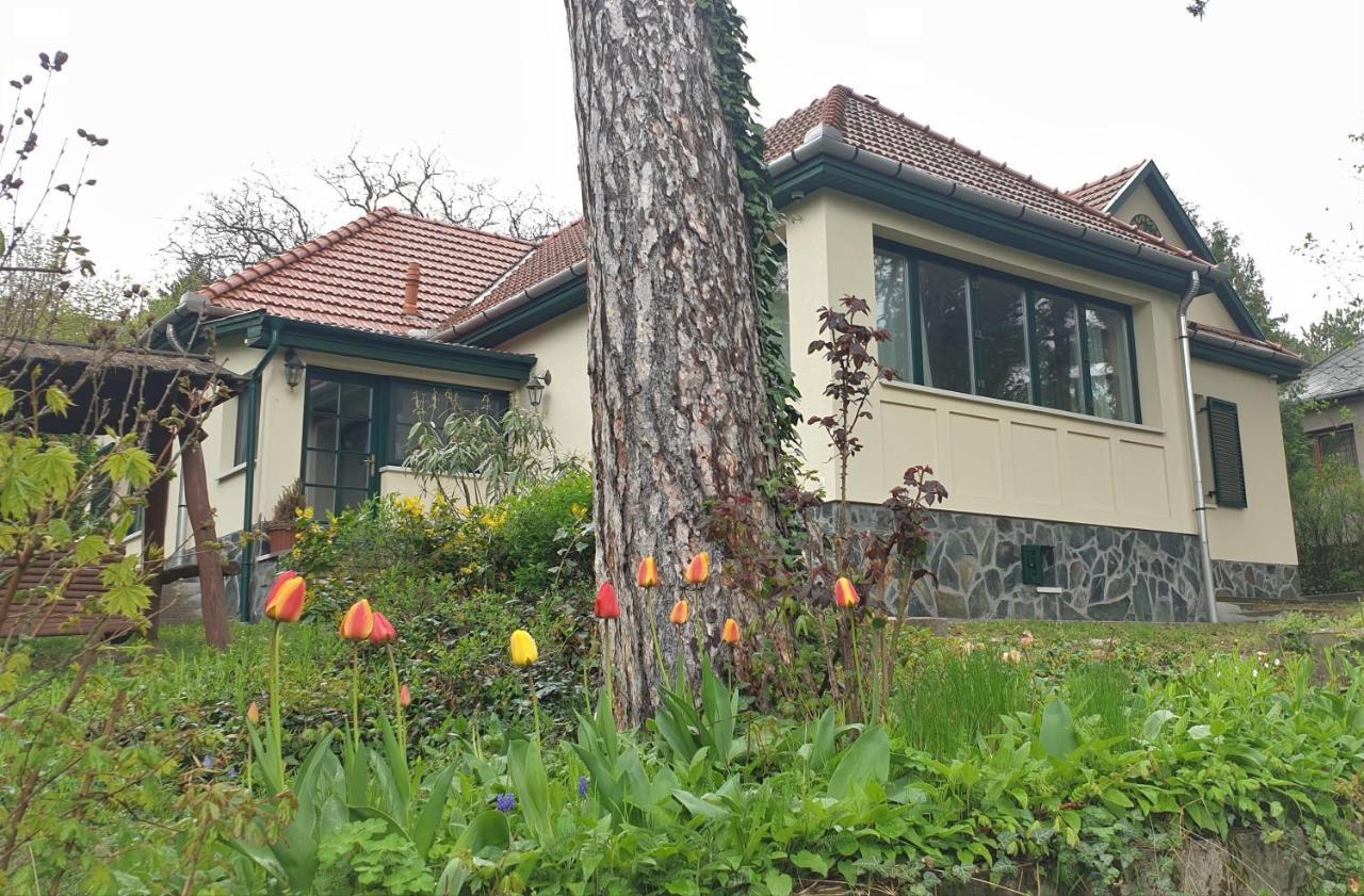 Edit Villa Матрофіред Екстер'єр фото