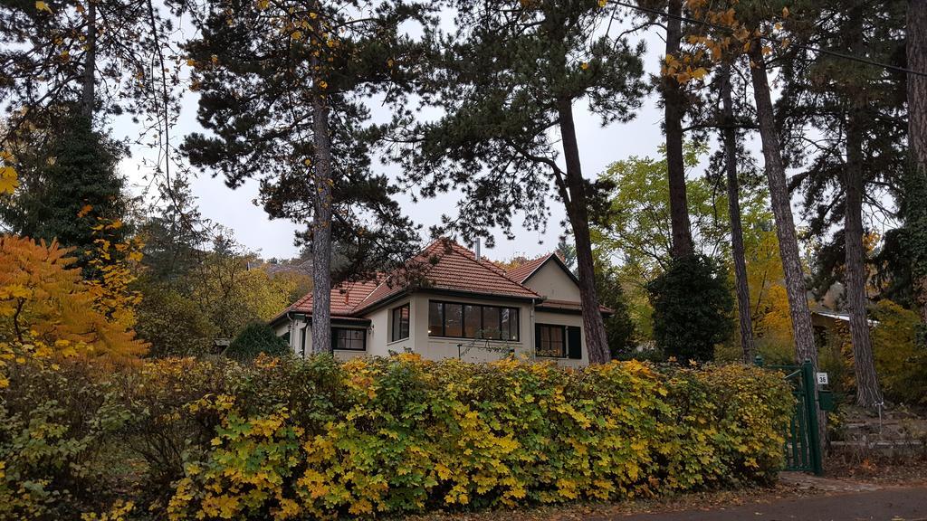 Edit Villa Матрофіред Екстер'єр фото